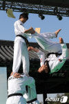 2012 서울 태권도 시범공연