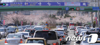 교통체증 빚는 진해군항제