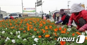 [사진] 함평군 나비축제 앞두고 화단 조성 한창