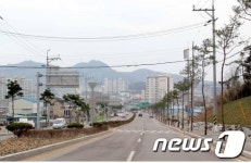 전남 영광군, 스포티움 진입도로 소나무 거리조성