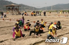 광주 남구 도시텃밭 개장