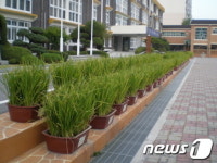 충남도, 올해 도시 학교농장 100곳 만든다