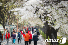 &apos;봄 기운 물씬&apos;