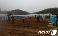 인천 남동구청,  공공주말농장 운영