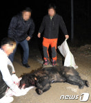 탈출한 용인 반달곰, 10시간 만에 사살