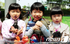 영등포구, 지역 어린이집에 토끼 분양