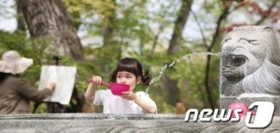 [사진] 경남 함양 상림공원의 봄 풍경