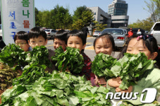 '봄나물 향기 좋아요'