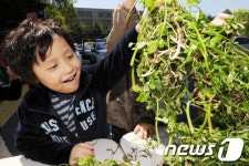 &apos;돌미나리 향기 좋아요!&apos;