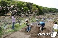 경기 광주시, 친환경 주말가족농장 개장