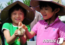 강동구, 친환경 체험 농장 운영