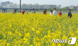 서래섬 찾은 시민들