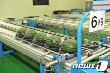 고창수박, 농식품부 IT융합 사업으로 날개 달아