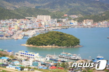[사진] 완도항 &apos;주도&apos;의 상록수림…천연기념물