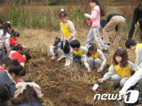 해남고구마 체험학습장, 전국 초등학교 등 200여 곳에 조성