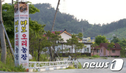 휴업 들어간 바보오리농장