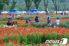 울산 태화강대공원 봄꽃향연 어린이 체험학습장 ‘각광’