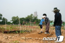 한강 위 도시농업 실험실 '노들텃밭' 방문기