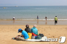 전남 완도군, 신지 명사십리해수욕장 개장