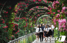 &apos;100만송이 장미 보러오세요!&apos;