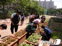 광주서부교육청, 상자 텃밭 이용 도심 속 학교 운영