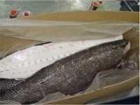 비싼 메로로 둔갑해 팔리던 기름치, 식품사용 전면중단