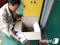 가족이라면 버리시겠습니까? 울산유기동물보호센터를 찾다