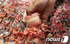 뿔난 틀니...왜?