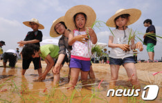 모내기가 신기한 꼬마농부