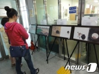 울주도서관, 20일까지 &apos;신기한 독&apos; 원화 전시