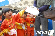 서대전공원서 도심 속 목장 나들이 행사