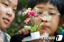 '내가 키운 나비'