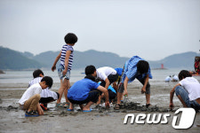 유니베라함안중앙 | [사진] 경남 함안 중앙초등생 "갯벌체험 너무 신나요"