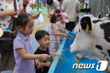 대전 도심 속 목장 나들이