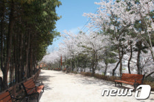 울산 동구, 명덕 공원-큰마을 공원 잇는 숲길 만든다