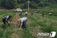 한국농어촌공사 익산지사, 농촌일손 돕기 '구슬땀'