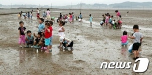 &apos;갯벌과 낙조&apos;, 함평 돌머리 해변 28일 개장