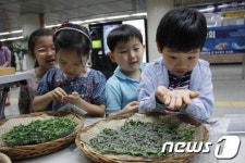 '누에생태 체험' 행사, 3호선 잠원역에서 20~24일 개최