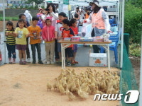 [현장 속으로]울주군 상북면 오리쌀 풍년기원제''