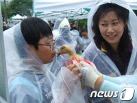[현장 속으로]울주군 상북면 오리쌀 풍년기원제&apos;&apos;