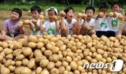 우리가 캔 감자에요