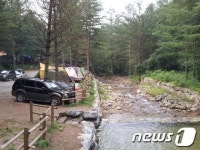 &apos;캠핑하기 좋은&apos; 국립자연휴양림 6선