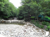 &apos;캠핑하기 좋은&apos; 국립자연휴양림 6선