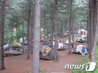 &apos;캠핑하기 좋은&apos; 국립자연휴양림 6선
