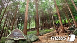 진해구, 장복산 편백숲 쉼터 조성