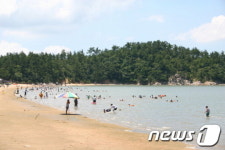 [해수욕장특집]전남의 해수욕장에는 특별함이 있다