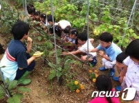인천 연수구, 행복나눔텃밭 체험프로그램 운영