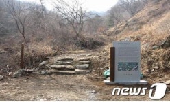 여주, 충희공 이인손묘· 주어사지 문화재 2점 지정