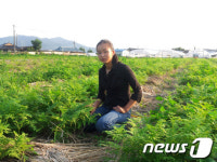 안동, 고사리 재배 도전한 당찬 처녀농사꾼 &apos;화제&apos;