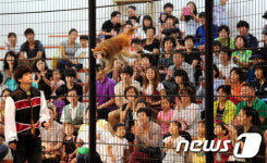 쥬쥬 창사 10주년, 가득 찬 객석